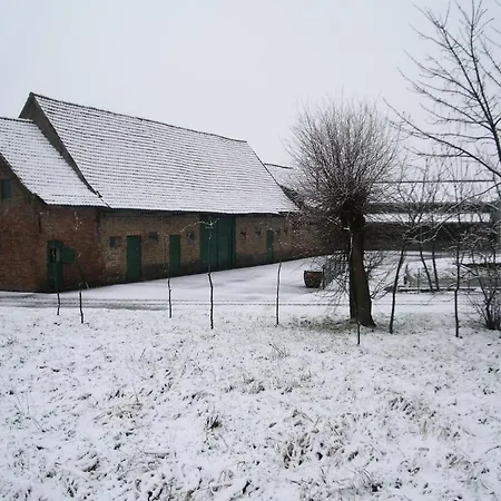 Koolhof * نيوبورت