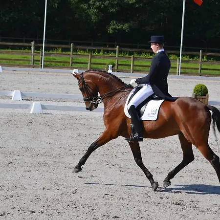 Koolhof Ньивпорт