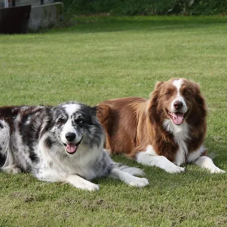 Koolhof شقة نيوبورت