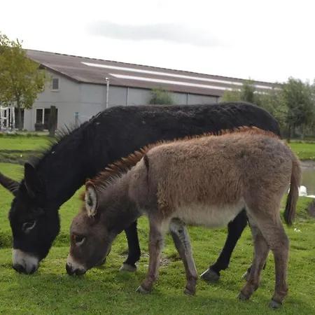 Апартаменты Koolhof Ньивпорт